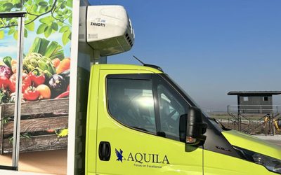 Temperatură controlată auto – soluția esențială pentru transport sigur și eficient