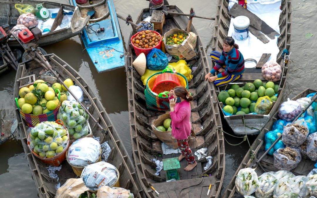 Lucruri utile de știut despre cum influențează umiditatea greutatea fructelor transportate