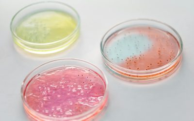Lucruri utile de știut despre temperatura critică la care bacteriile încep să se multiplice