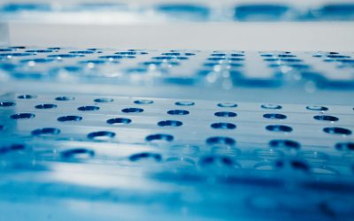 De ce este obligatorie verificarea etanșeității circuitului o dată pe an prin lege