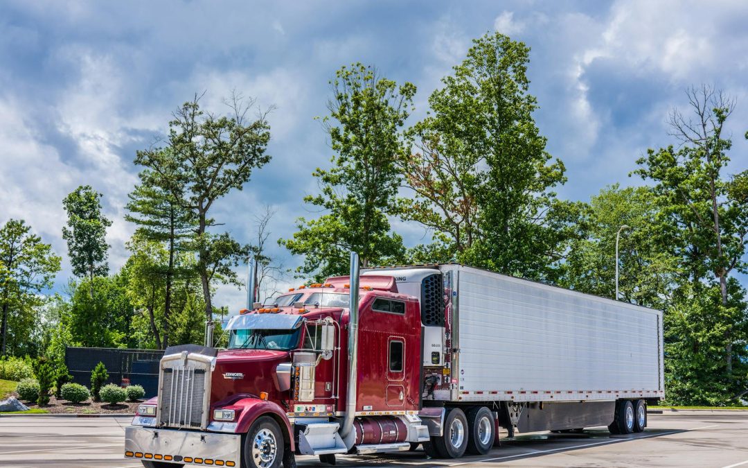 Știați că panourile sandwich de calitate nu absorb apă nici dacă sunt scufundate