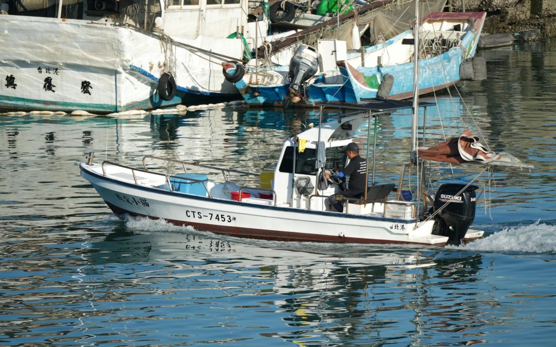 De ce transportul de fructe de mare necesită o ventilare suplimentară