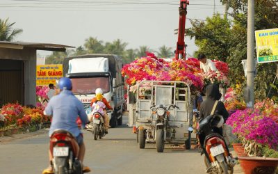 Viziunea noastră despre transportul de flori: O chestiune de umiditate și finețe