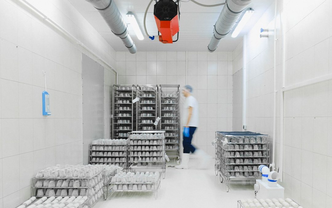 De ce instalarea corectă a sondei de temperatură este vitală