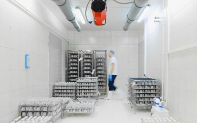 De ce instalarea corectă a sondei de temperatură este vitală
