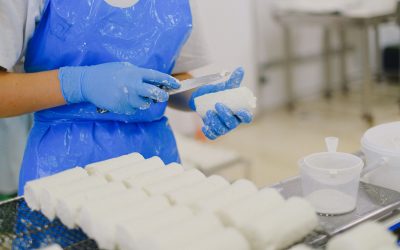 Viziunea Autofrigo despre standardizarea igienei în transportul alimentar