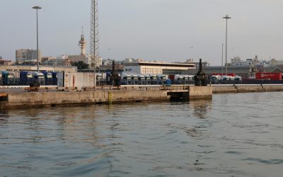 Viziunea noastră despre transportul de pește: Provocările apei sărate