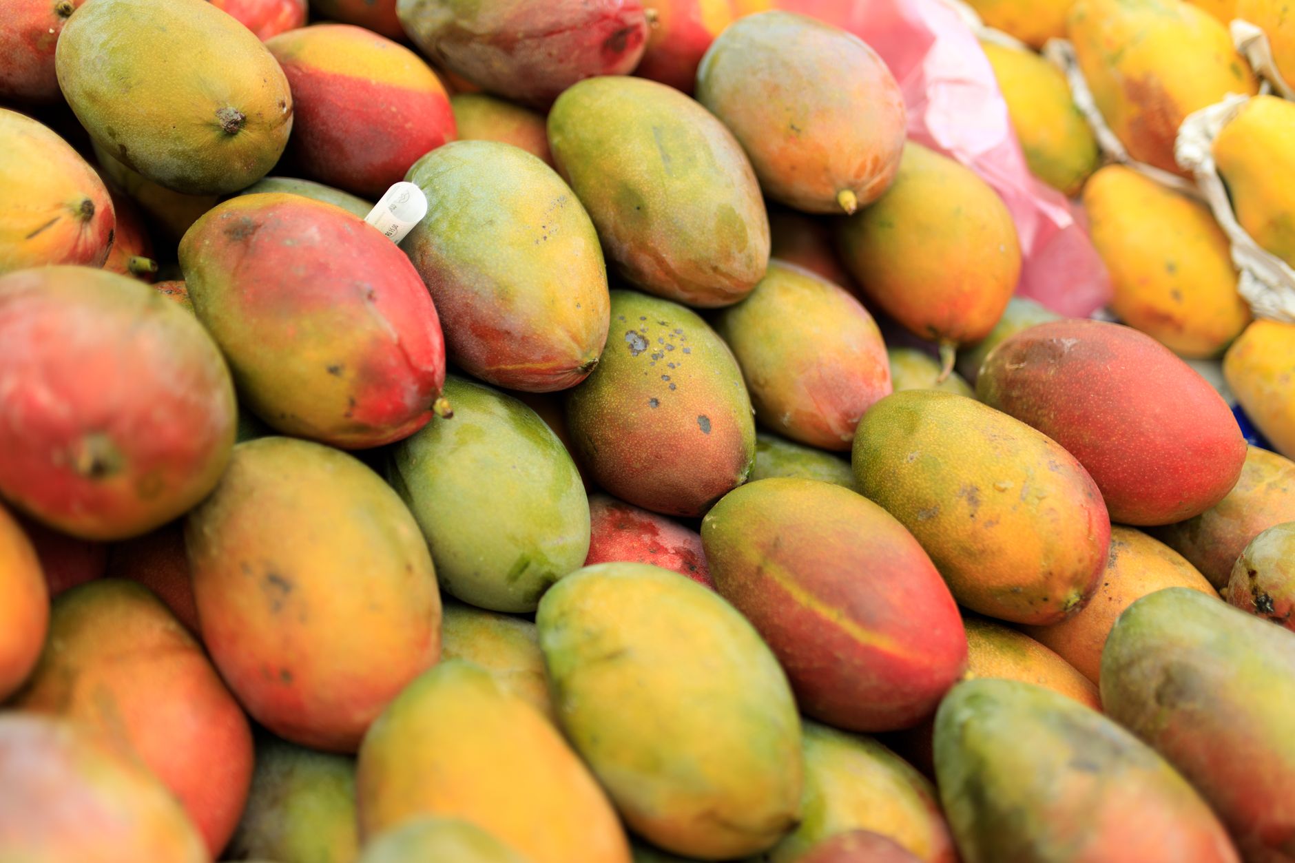 De ce transportul de fructe exotice precum mango necesită temperaturi de 13 grade, nu 4 grade