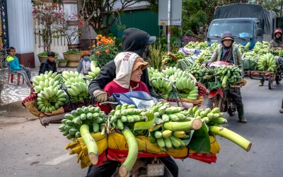 Știați că izolarea cu fibră de sticlă de la Autofrigo este omologată pentru contactul direct cu alimentele