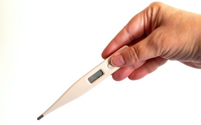 Reglementări privind înregistrarea temperaturii pe tot parcursul traseului